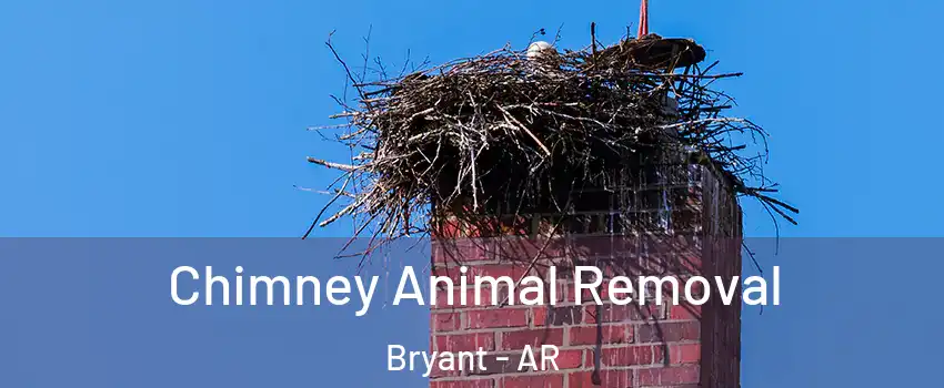 Chimney Animal Removal Bryant - AR